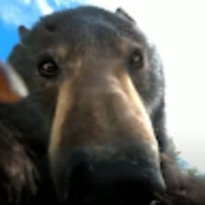 Meet your Posher, Luna